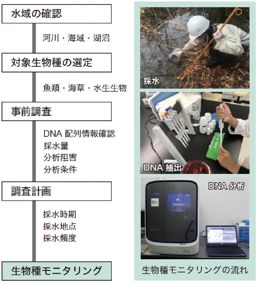 環境DNA を活用した生物モニタリング技術