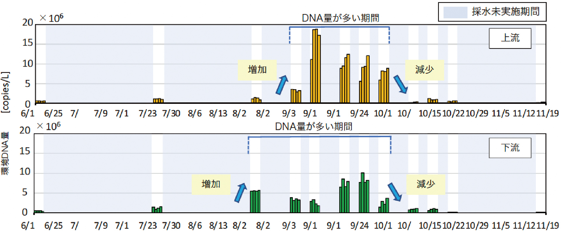 環境DNA分析結果