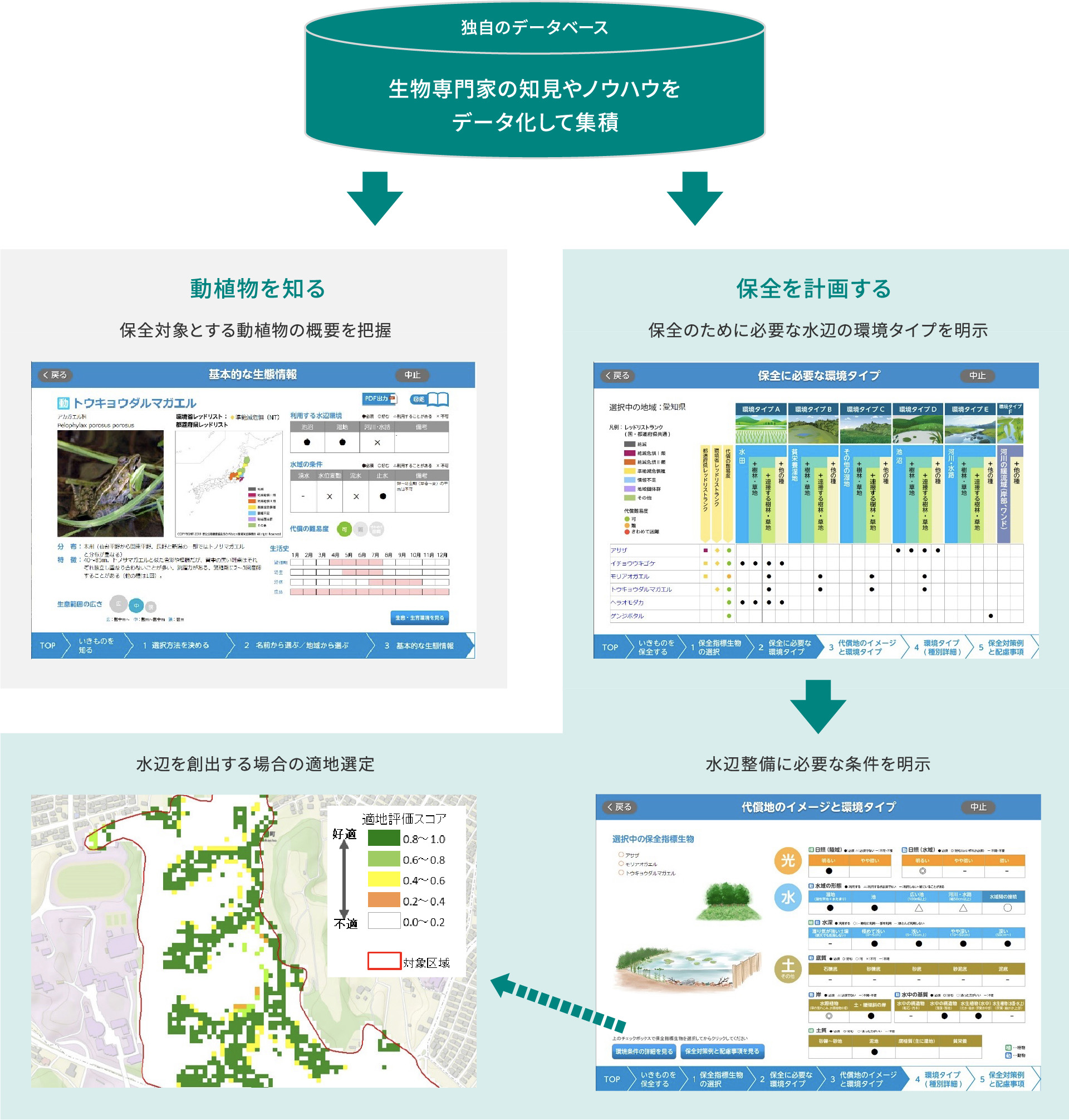 独自のデータベース 生物専門家の知見やノウハウをデータ化して集積 動植物を知る 保全対象とする動植物の概要を把握 保全を計画する 保全のために必要な水辺の環境タイプを明示 水辺を創出する場合の適地選定 水辺整備に必要な条件を明示