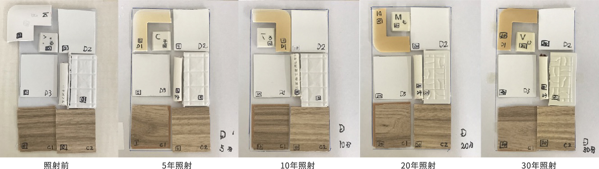 照射前 5年照射 10年照射 20年照射 30年照射